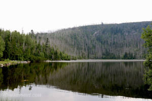 Lake Plešné, Šumava mountains