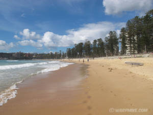 Manly beach