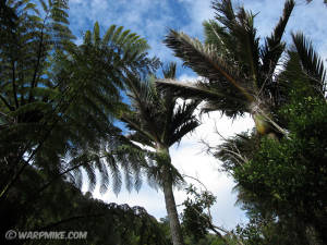 Paparoa National Park