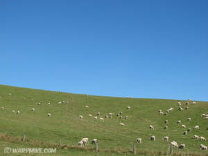 New Zealand, South Island