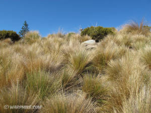 New Zealand, South Island