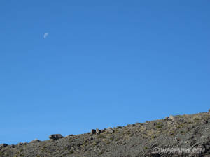 Moon above New Zealand