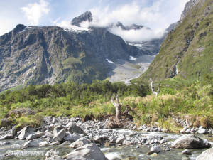 Fiordland national park